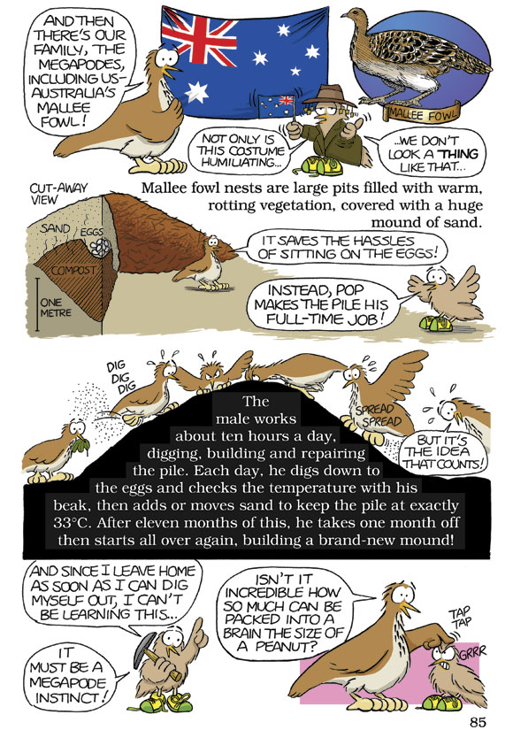 Born Smart? Page 85