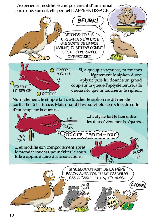 Pas b&ecirc;te du tout! Page 10