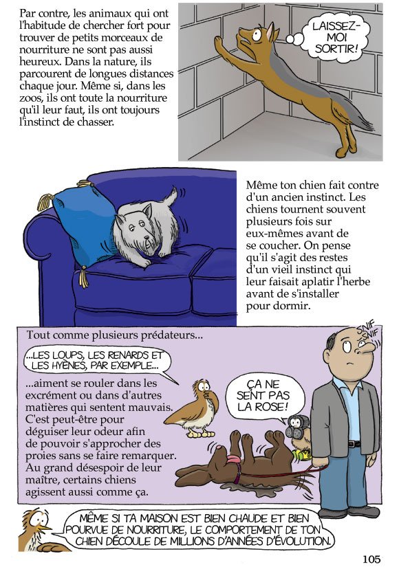 Pas b&ecirc;te du tout! Page 105