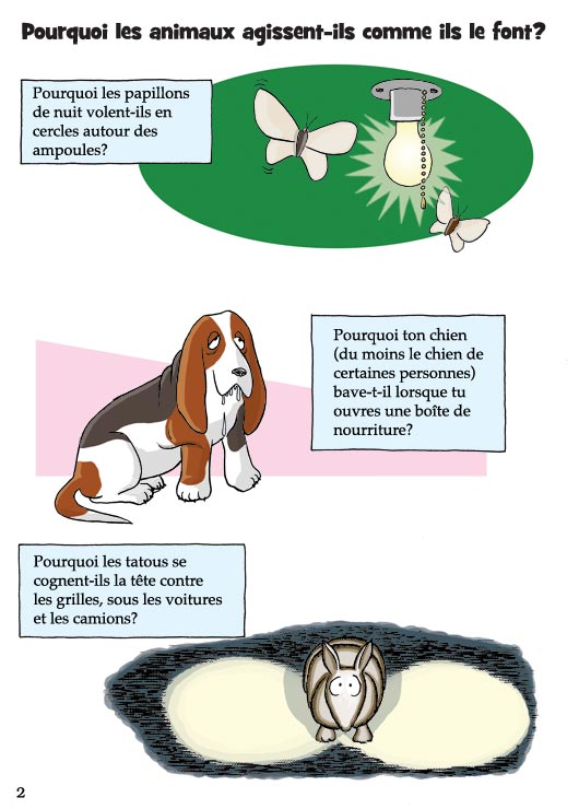 Pas b&ecirc;te du tout! Page 2
