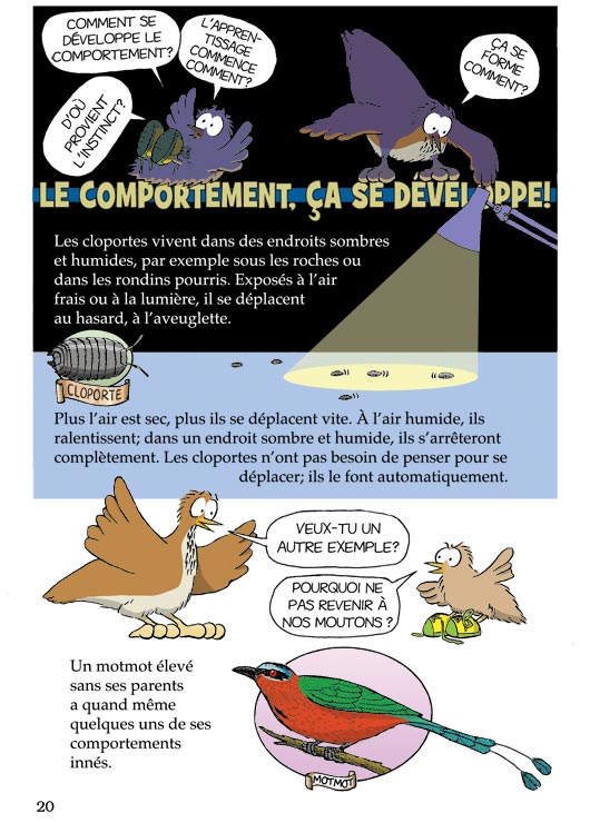 Pas b&ecirc;te du tout! Page 20