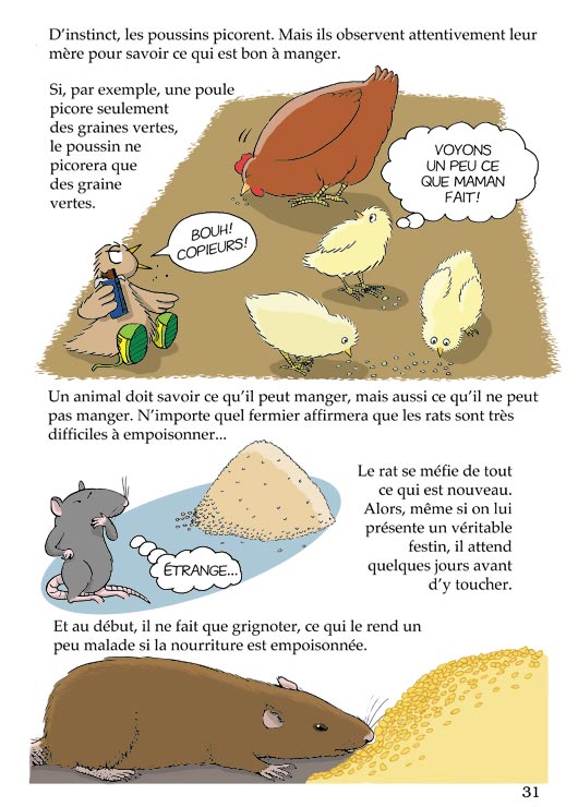 Pas b&ecirc;te du tout! Page 31