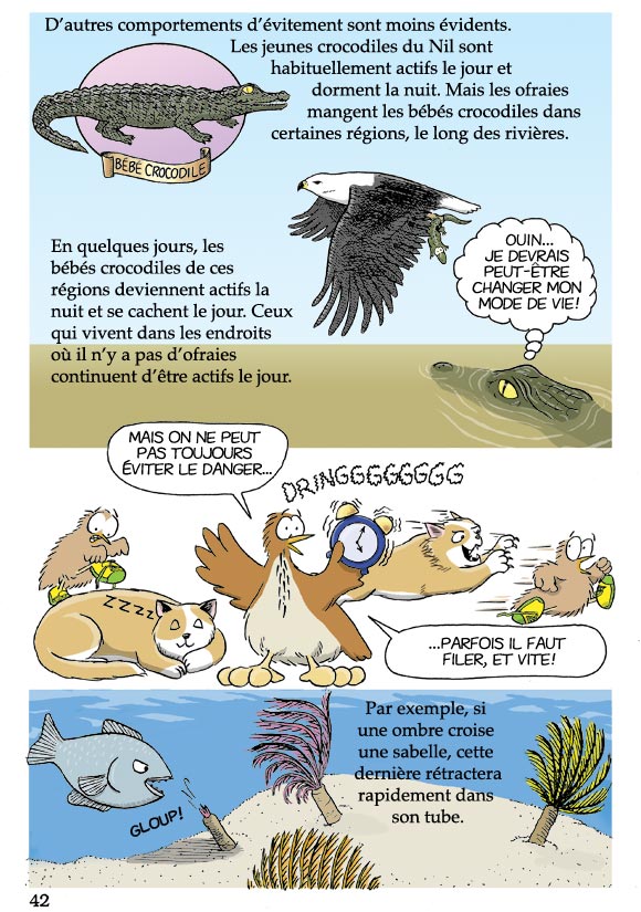Pas b&ecirc;te du tout! Page 42