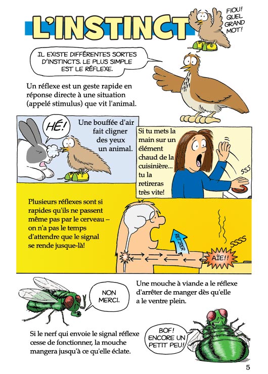 Pas b&ecirc;te du tout! Page 5