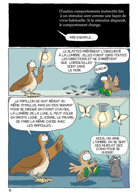 Pas b&ecirc;te du tout! Page 6