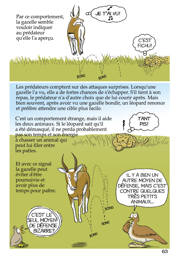 Pas b&ecirc;te du tout! Page 63