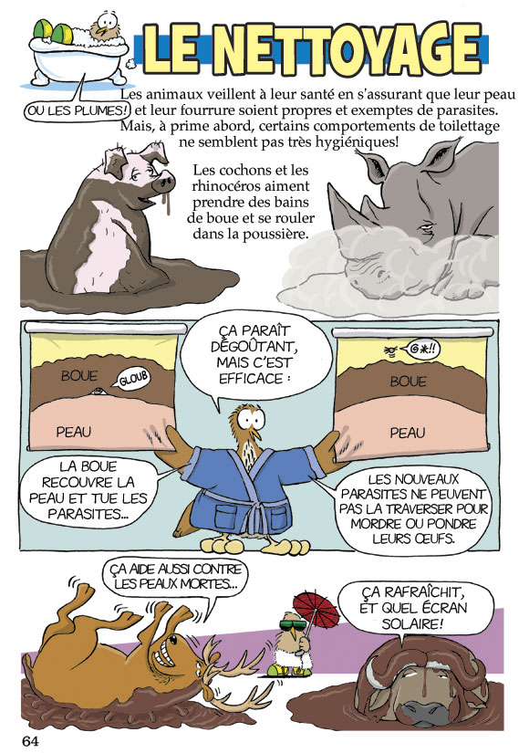 Pas b&ecirc;te du tout! Page 64