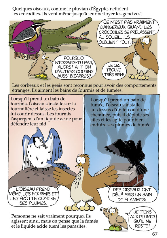 Pas b&ecirc;te du tout! Page 67