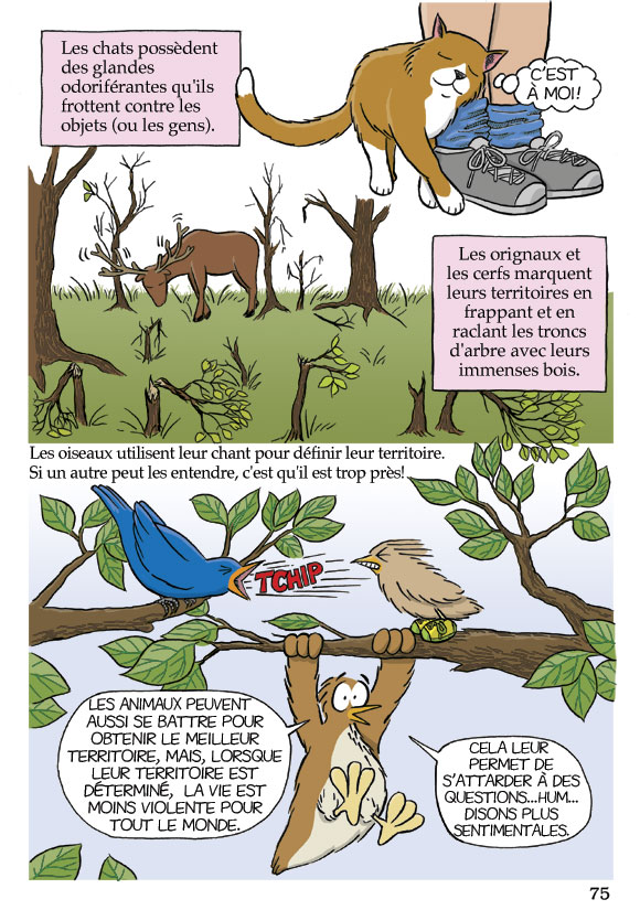 Pas b&ecirc;te du tout! Page 75