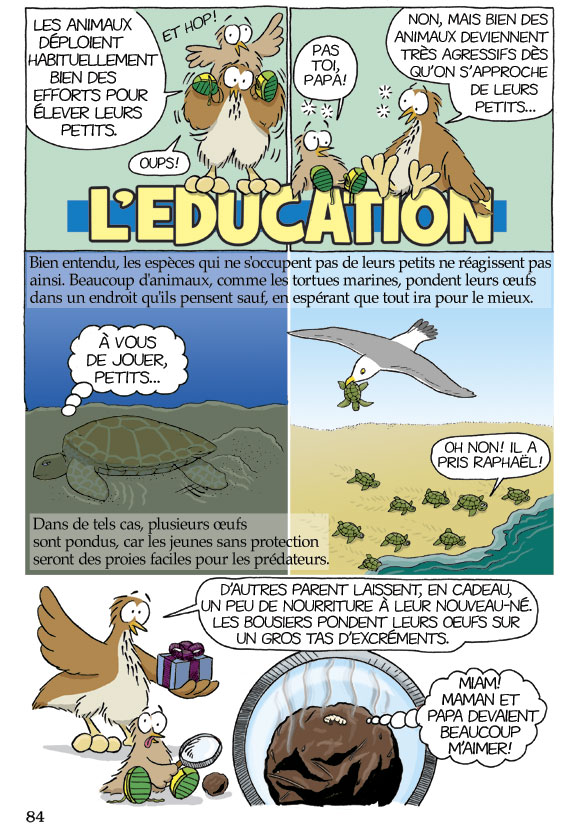 Pas b&ecirc;te du tout! Page 84