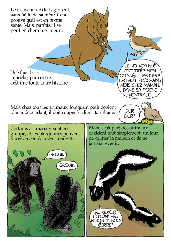 Pas b&ecirc;te du tout! Page 95