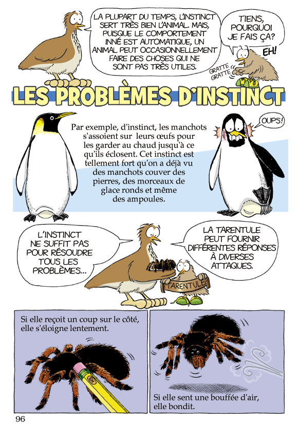 Pas b&ecirc;te du tout! Page 96