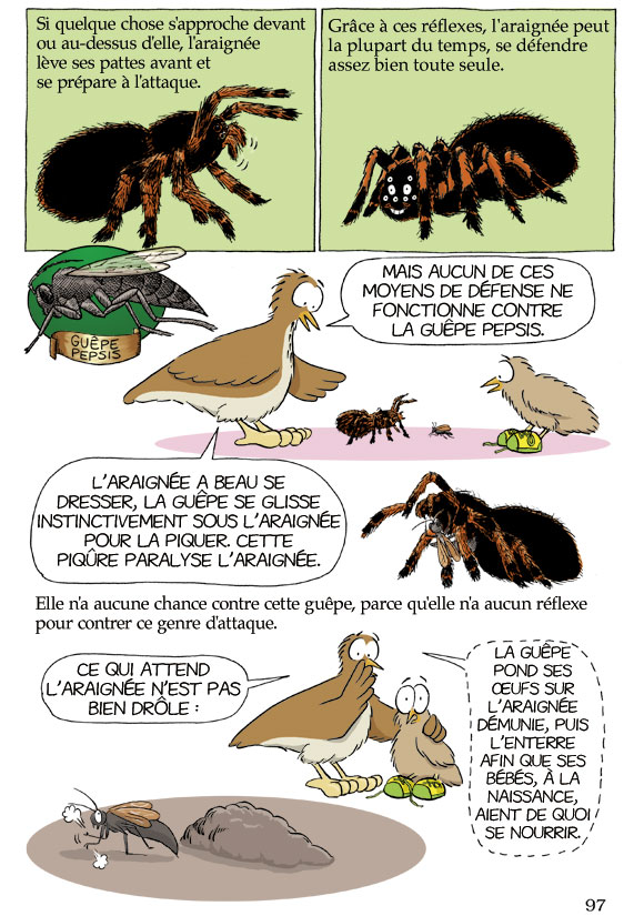 Pas b&ecirc;te du tout! Page 97